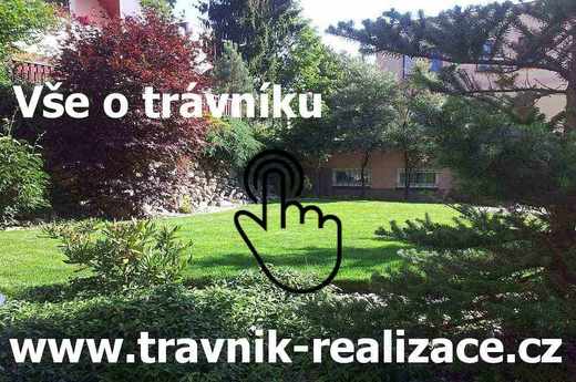 www.travnik-realizace.cz